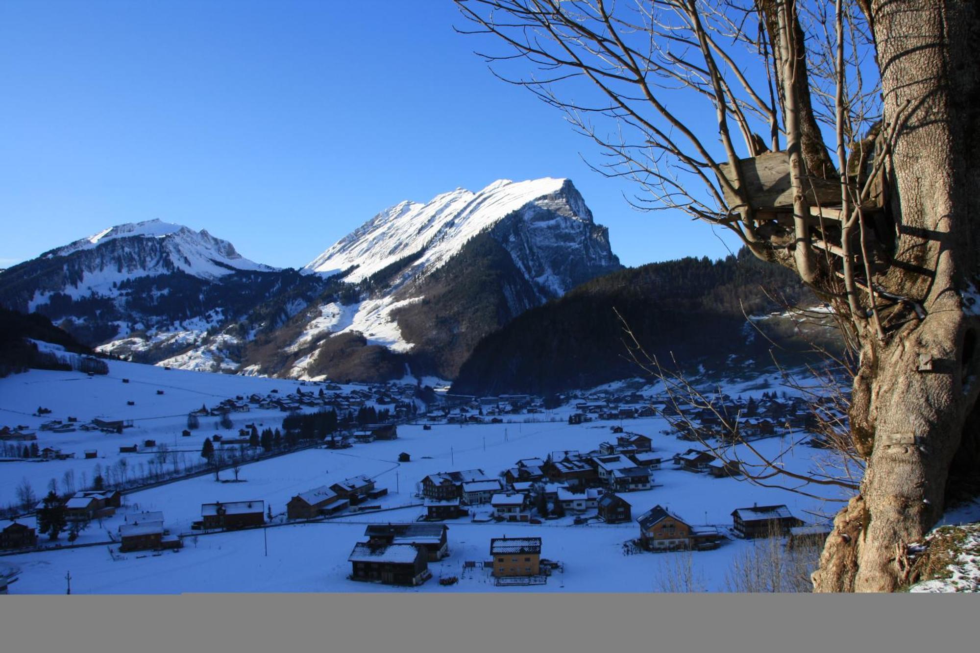 Bed and Breakfast Panoramahof Eggele Schoppernau Exterior foto